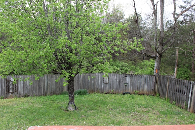 6309 Paddington Way, Antioch, TN 37013 - view of yard featuring a fenced backyard