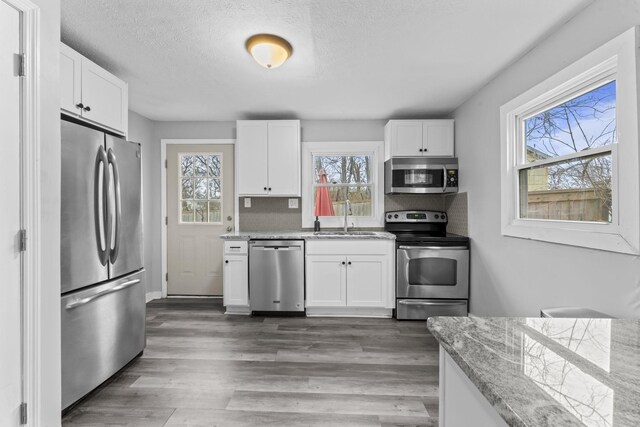 kitchen featuring white cabinets, a sink, stainless steel appliances, and wood finished floors