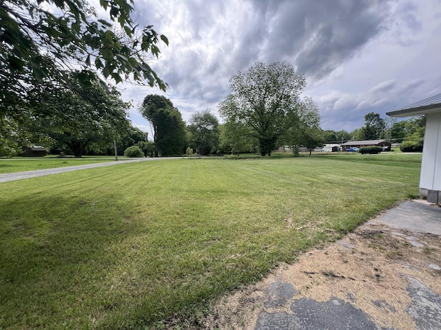 31 Marler St, Tracy City, TN 37387 - view of green lawn