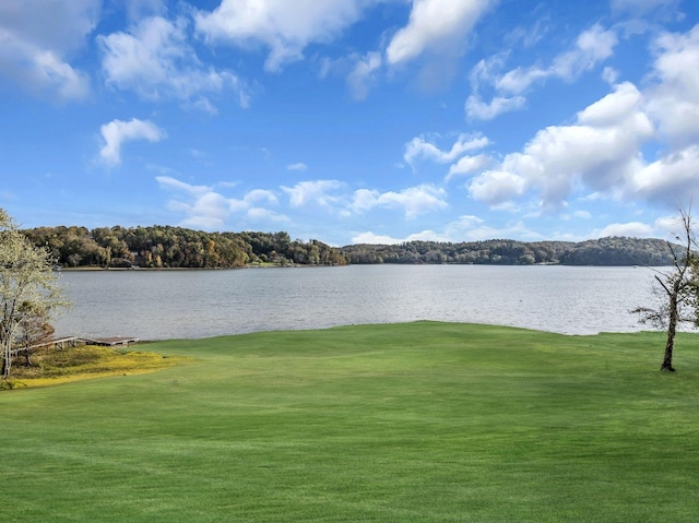 property view of water