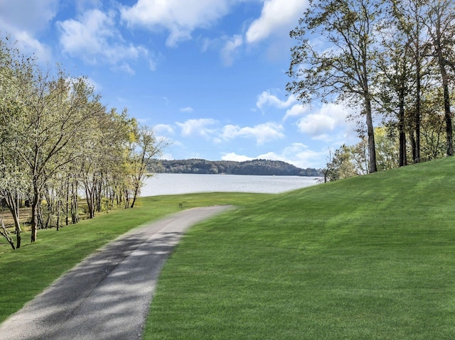 view of property's community featuring a water view and a yard