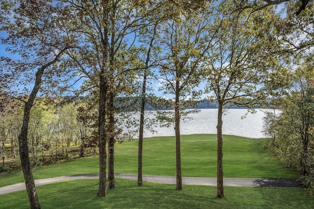view of community featuring a water view and a yard