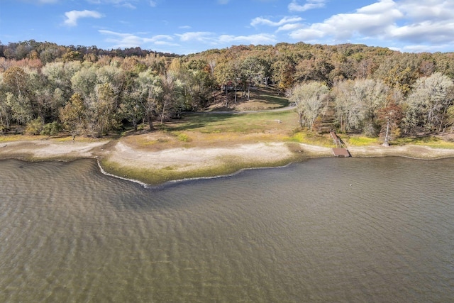 bird's eye view with a forest view and a water view