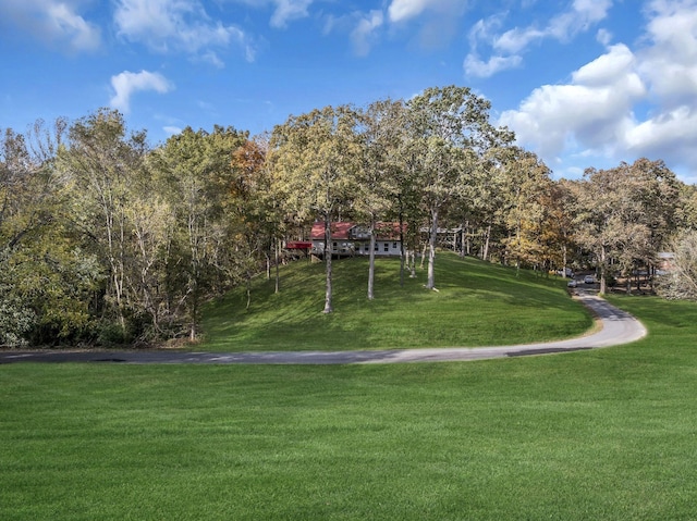 view of property's community featuring a yard