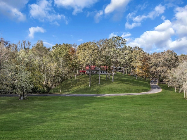 view of home's community featuring a lawn