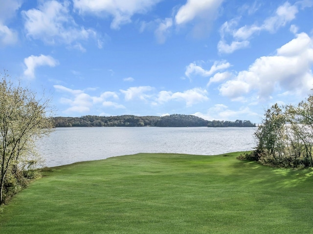 view of water feature
