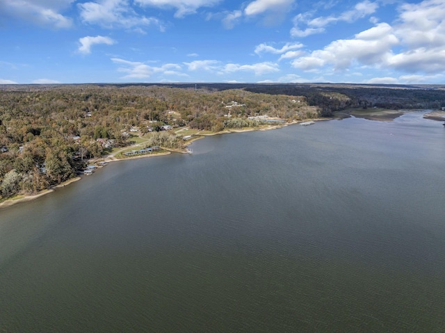 drone / aerial view with a water view and a view of trees