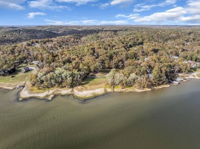 birds eye view of property featuring a water view and a view of trees