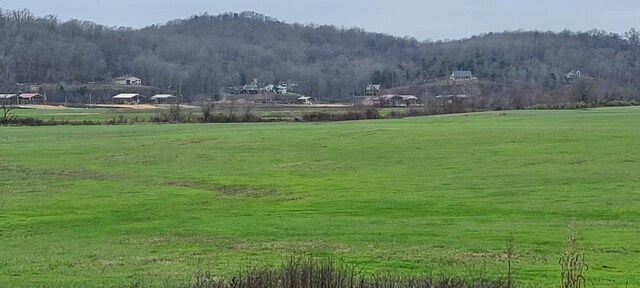2027 Hardin Bottom River Rd, Clifton, TN 38425
