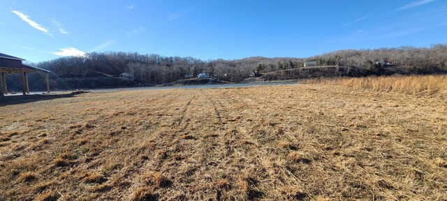2027 Hardin Bottom River Rd, Clifton, TN 38425
