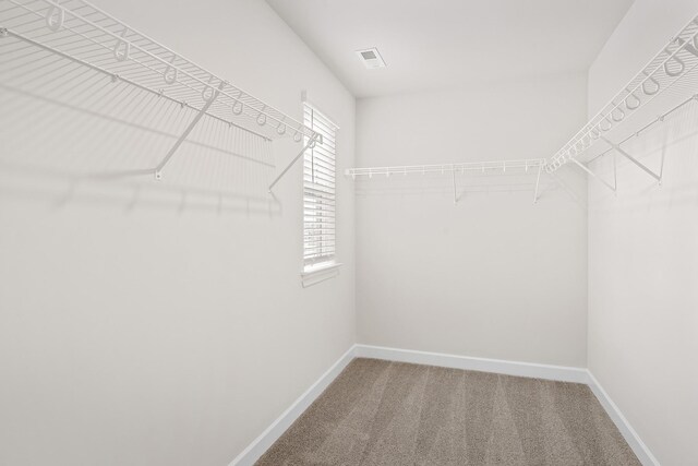 3455 Quintana Dr, Murfreesboro, TN 37127 - photo 17