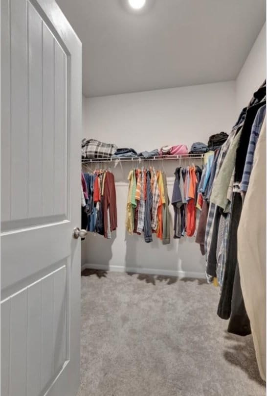 walk in closet with carpet flooring