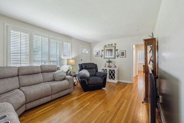 3132 Stafford Dr, Nashville, TN 37214 - living room featuring baseboards and light wood finished floors