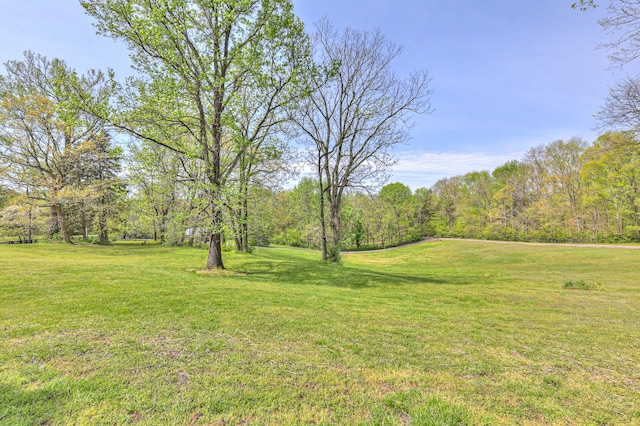 view of yard featuring a view of trees