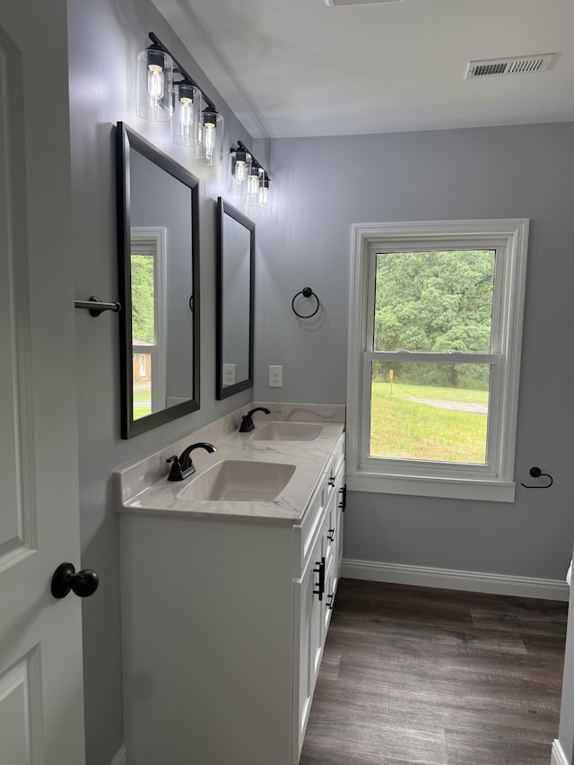 135 Locust Dr, Erin, TN 37061 - full bath with double vanity and wood finished floors