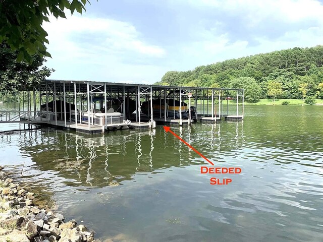 116 Lake Harbor Dr, Hendersonville, TN 37075 - photo 2
