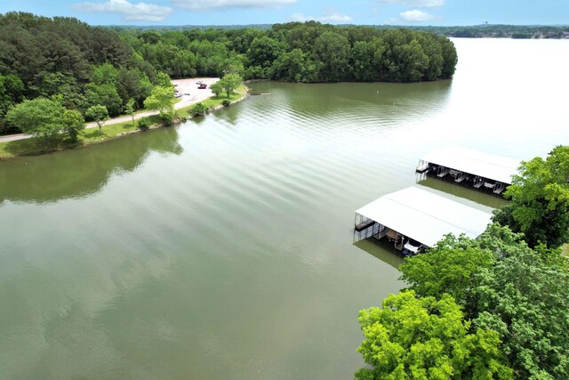 116 Lake Harbor Dr, Hendersonville, TN 37075 - photo 8