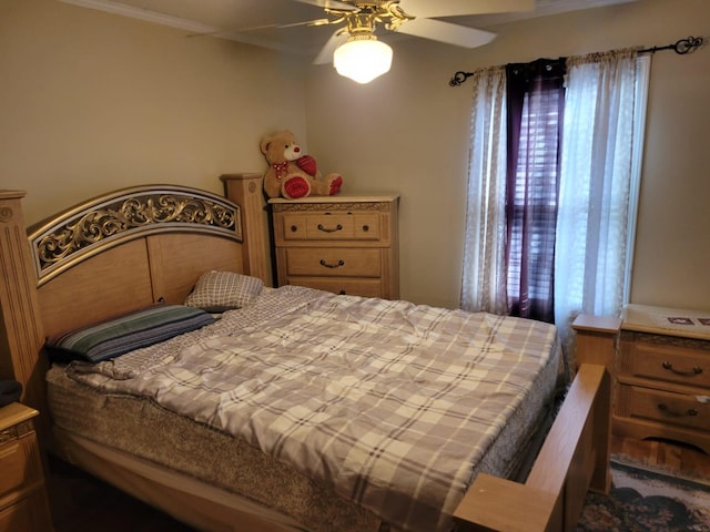 1148 Brittany Park Ln, Antioch, TN 37013 - bedroom featuring a ceiling fan and multiple windows