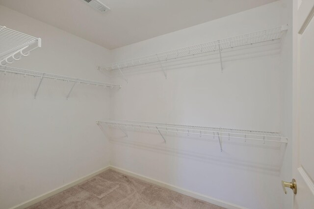 1307 Danbury Dr, Columbia, TN 38401 - photo 20