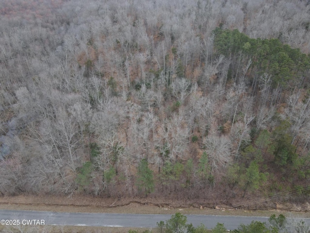 0 Pond Branch Rd, Buena Vista, TN 38318 - photo 3