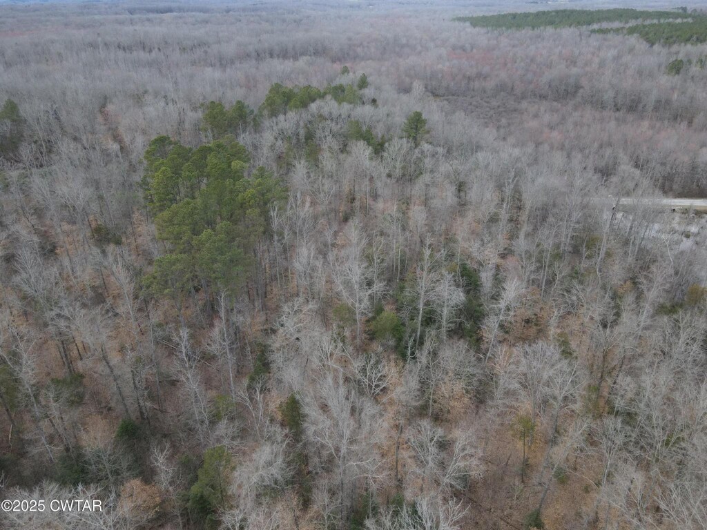 0 Pond Branch Rd, Buena Vista, TN 38318 - photo 2