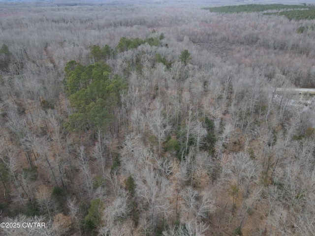 0 Pond Branch Rd, Buena Vista, TN 38318 - photo 2