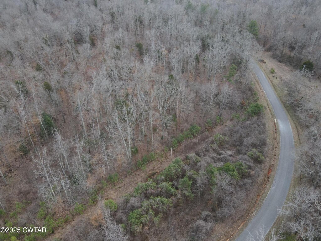 0 Pond Branch Rd, Buena Vista, TN 38318 - photo 1