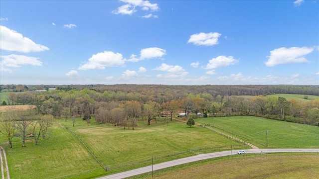 48 Mount Lebanon Rd, Lawrenceburg, TN 38464 - photo 52