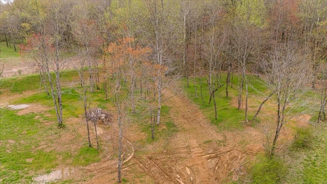48 Mount Lebanon Rd, Lawrenceburg, TN 38464 - photo 57