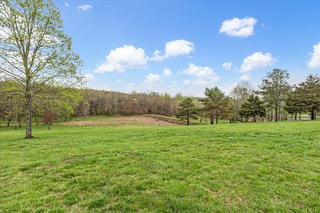 48 Mount Lebanon Rd, Lawrenceburg, TN 38464 - photo 47