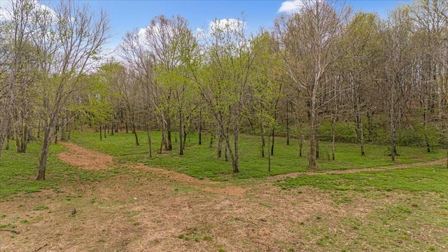48 Mount Lebanon Rd, Lawrenceburg, TN 38464 - photo 60