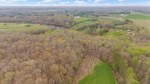 48 Mount Lebanon Rd, Lawrenceburg, TN 38464 - photo 50