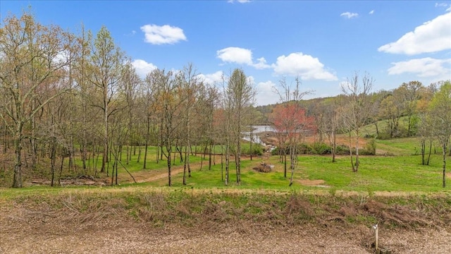 48 Mount Lebanon Rd, Lawrenceburg, TN 38464 - photo 61