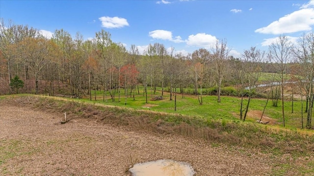48 Mount Lebanon Rd, Lawrenceburg, TN 38464 - photo 59