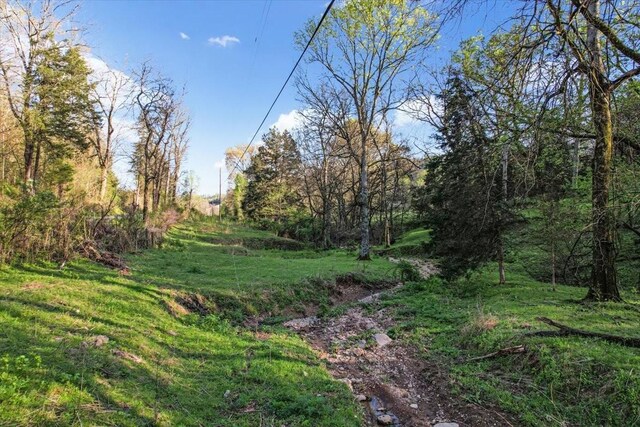48 Mount Lebanon Rd, Lawrenceburg, TN 38464 - photo 83