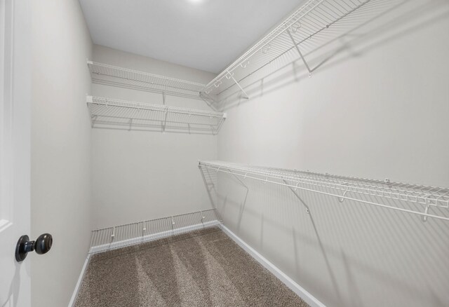 2539 Rafiki Dr, Clarksville, TN 37042 - spacious closet featuring carpet floors