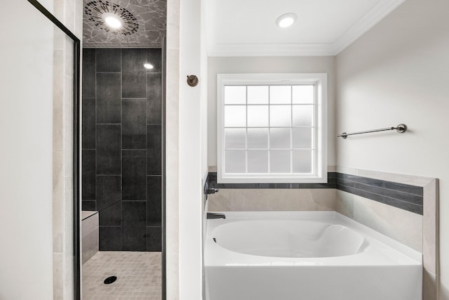 2539 Rafiki Dr, Clarksville, TN 37042 - bathroom with a bath, a shower stall, and ornamental molding