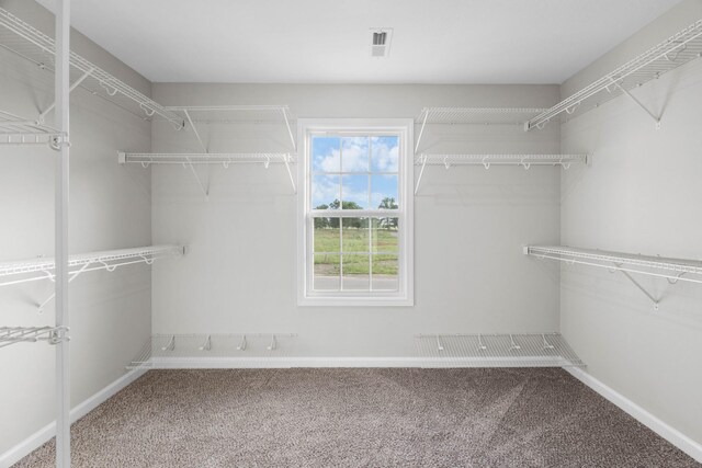 2539 Rafiki Dr, Clarksville, TN 37042 - spacious closet featuring carpet flooring