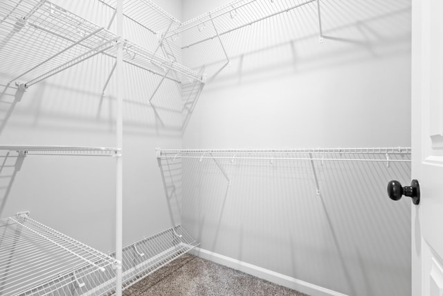 2531 Rafiki Dr, Clarksville, TN 37042 - spacious closet with carpet floors