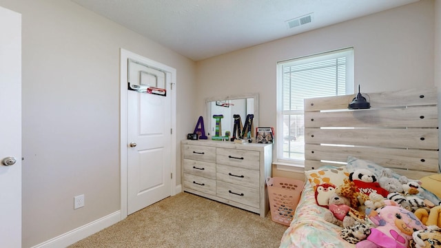 5440 Marisack Ct, Christiana, TN 37037 - photo 20