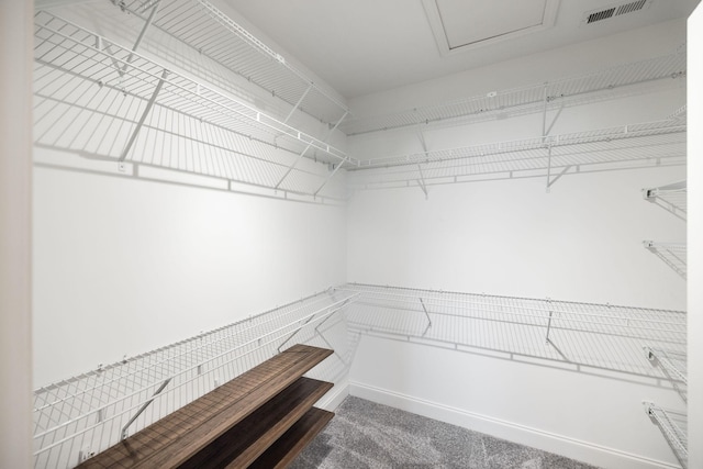 spacious closet featuring carpet flooring and visible vents
