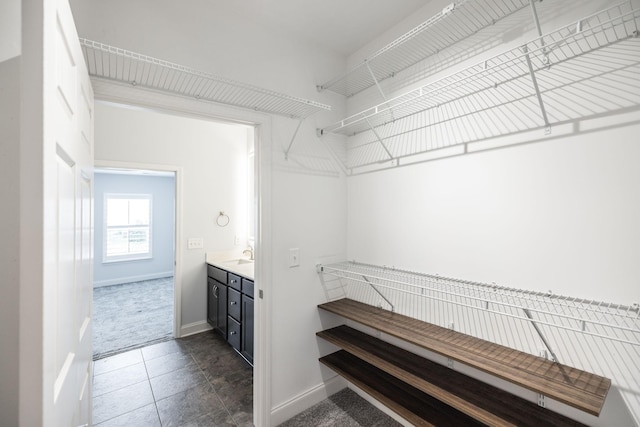 spacious closet featuring a sink