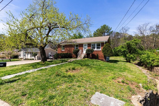 213 Colt Dr, Nashville, TN 37221 - photo 3