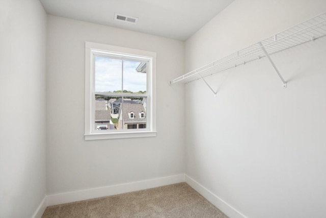 walk in closet with visible vents and carpet floors