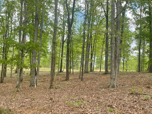 133 Shelton Cemetery Rd, Cumberland Furnace, TN 37051