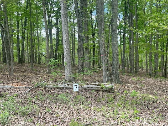 133 Shelton Cemetery Rd, Cumberland Furnace, TN 37051
