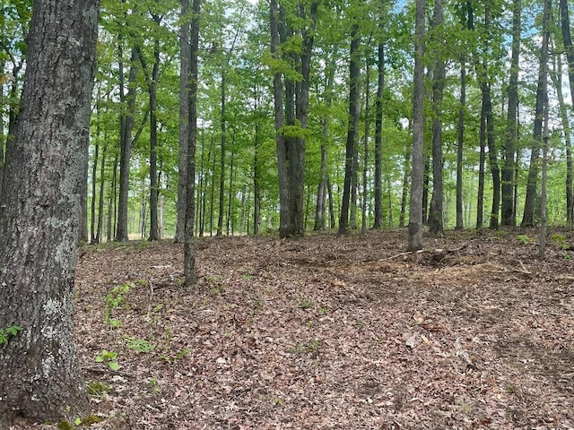 133 Shelton Cemetery Rd, Cumberland Furnace, TN 37051