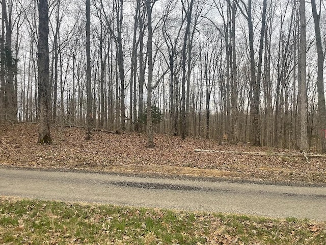 133 Shelton Cemetery Rd, Cumberland Furnace, TN 37051