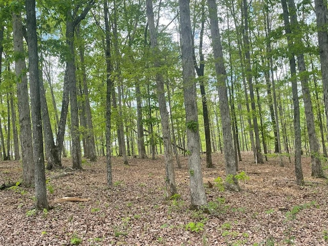 133 Shelton Cemetery Rd, Cumberland Furnace, TN 37051