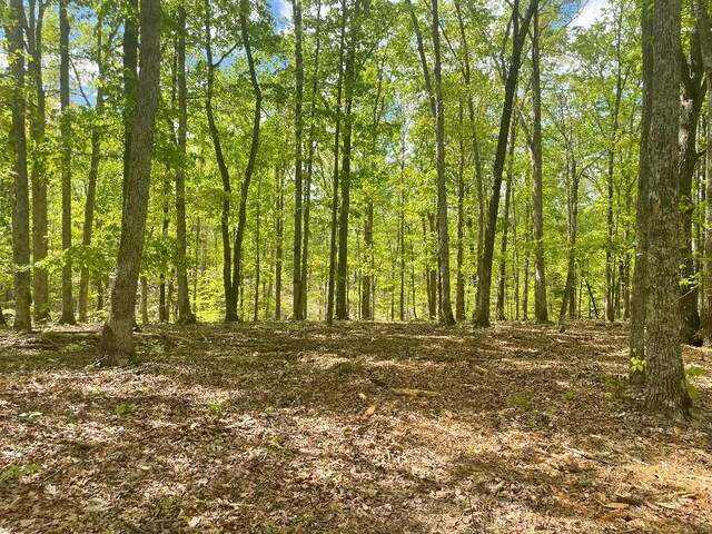 135 Shelton Cemetery Rd, Cumberland Furnace, TN 37051
